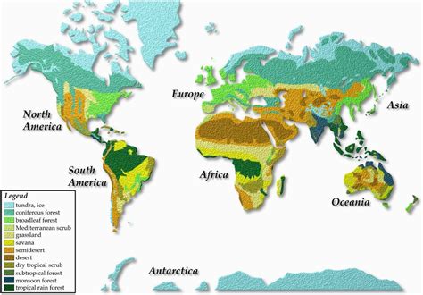 Europe Vegetation Map Vegetation Map Of The World Cyndiimenna