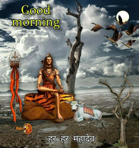 Top 999 Shiv Ji Good Morning Images Amazing Collection Shiv Ji Good Morning Images Full 4k