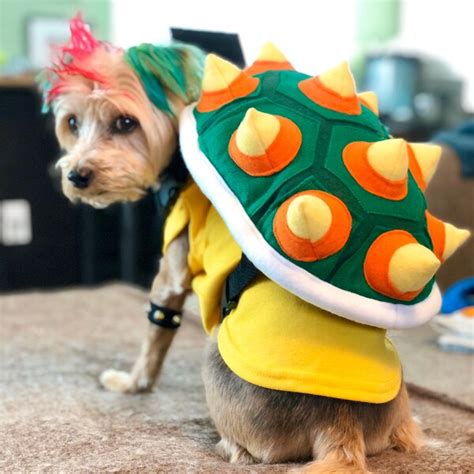 Bowser Dog Costume Etsy