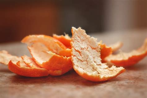 Citrus Peel Acorn Herb School