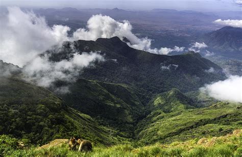 40+ Kodaikanal Beautiful Places PNG - Backpacker News