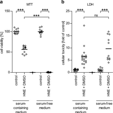 The Growth Of Arpe Cells In Serum Containing Sc Or Serum Free