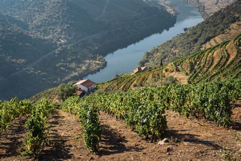 Douro Conquista Cidade Europeia Do Vinho