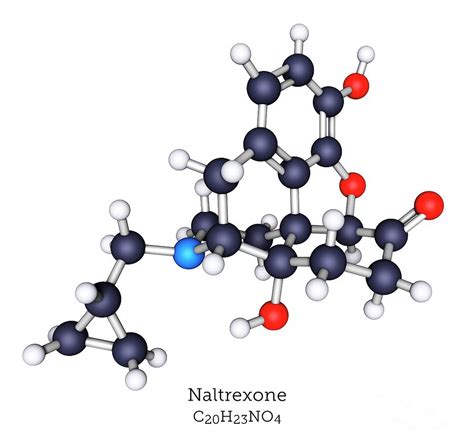 Naltrexone Opioid Treatment Photograph By Greg Williamsscience Photo Library Fine Art America