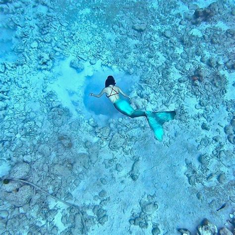 10 Latest Hot Kate McCue Bikini Pics