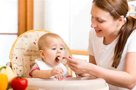 Alimentos Para Beb S De Meses C Mo Iniciar La Alimentaci N