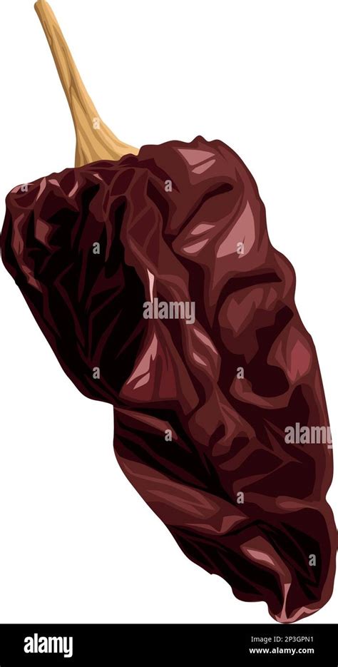 Chipotle Chilli Hot Vegetable Stock Vector Image Art Alamy