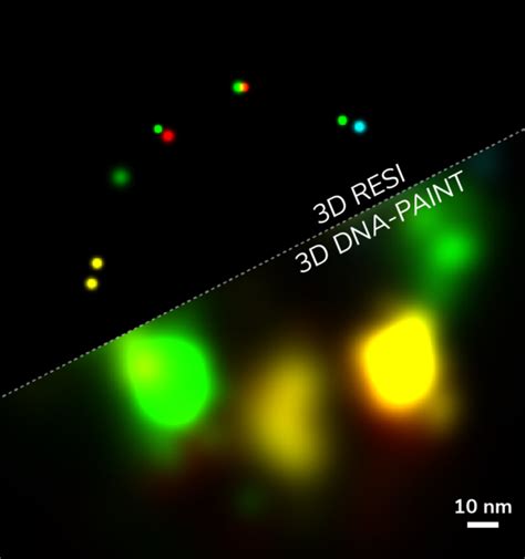 Dna Paint Labeling Kits For Super Resolution Imaging