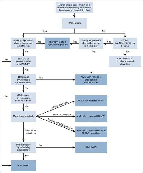 Diagnosis And Management Of Aml In Adults Off