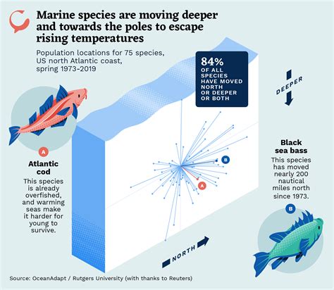 How does climate change affect fish? [2025] | QAQooking.wiki