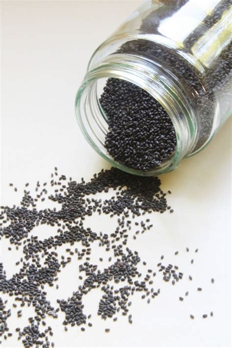 Sabja Seeds Basil Seeds Or Falooda Seeds Or Tukmaria