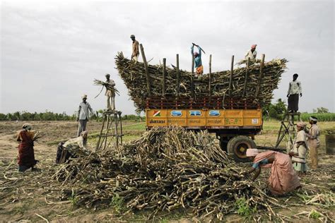 In India Farm Crisis Drives Villagers To Become Migrant Laborers Los