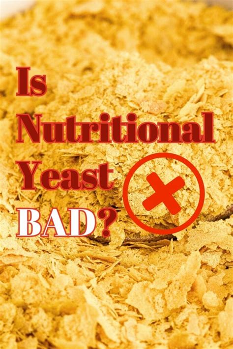 Is Nutritional Yeast Bad The Real Truth