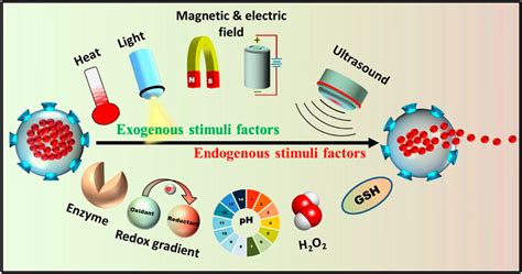 Frontiers Advances And Perspective On Antimicrobial Nanomaterials For Biomedical Applications