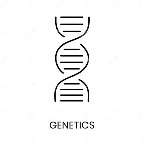 Dna Helix Simboliza El Icono De Línea Genética En Vector Con Trazo