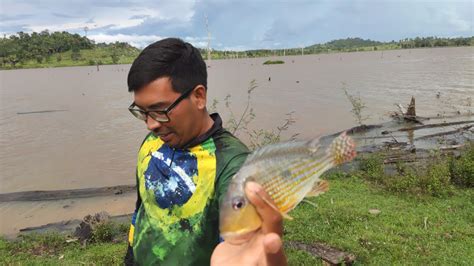 Como Pesca Porquinho No Alagado YouTube