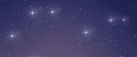 Money Star Tips | Resources | Genistar