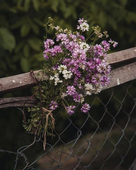 Resimlerin Dili Flower Art Flower Crown Bridesmaid Beautiful Flowers