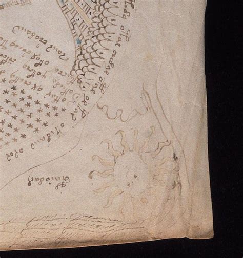 Voynich Manuscript Finally Decoded Medieval Sex Secrets May Hide In Mysterious Text Sciencealert