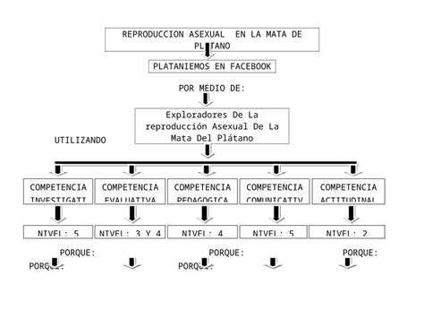 Arriba 40 Imagen Mapa Mental Reproduccion Asexual Abzlocal Mx