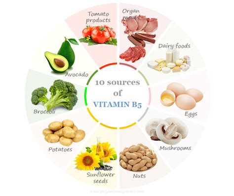 Pantothenic Acid Vitamin B5 Benefits Food Sources Side 40 OFF