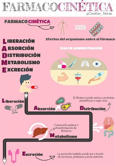 Farmacocinética Enfermería Creativa
