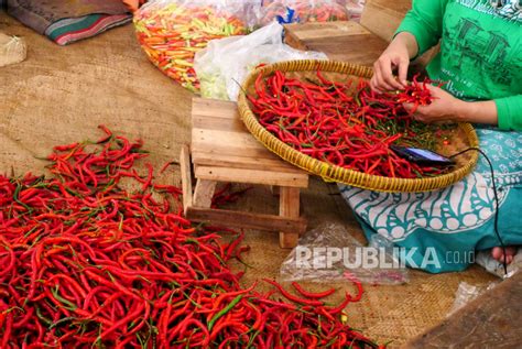 Harga Cabai Rawit Merah Belum Normal Republika Online