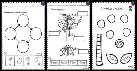 Portada Ciclo Vida Plantas