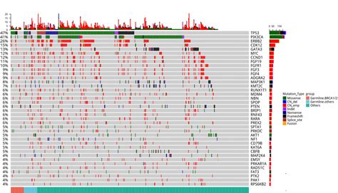 Comparison Of Brca Versus Non Brca Germline Mutations And Associated