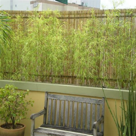 Cercas e painéis de bambu para áreas internas e externas jardins