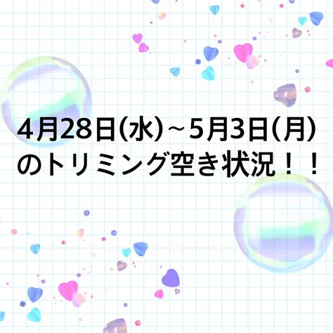 4月28日水～5月3日月までのトリミング空き情報！！ Wanwanwan長居and保護犬パークスタッフブログ