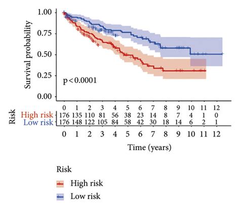 Construction And Validation Of The Crgs Prognostic Model In Kirc A