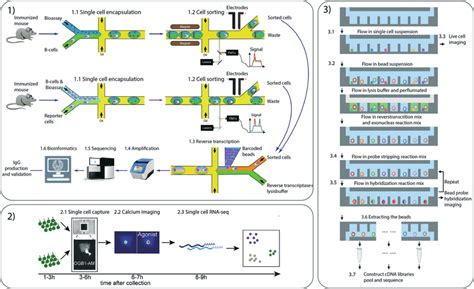 Different Microfluidic Multimodal Single Cell Techniques 1 Droplet