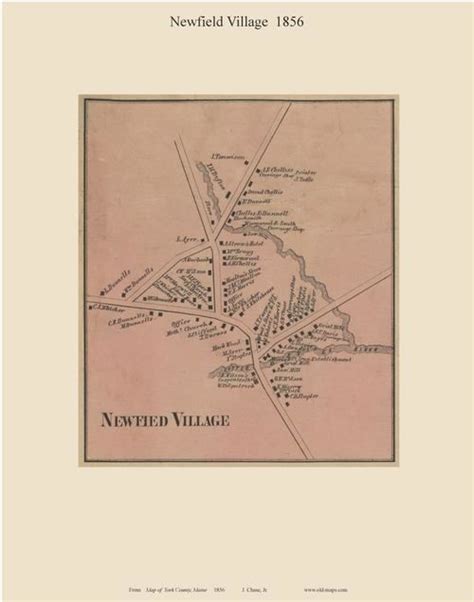 Newfield Village Maine 1856 Old Town Map Custom Print York Co