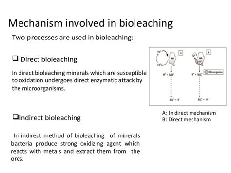 Bioleaching its technique and applications