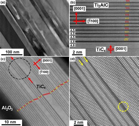 HAADF STEM Micrographs At Low Magnification Of The Thin Foil A