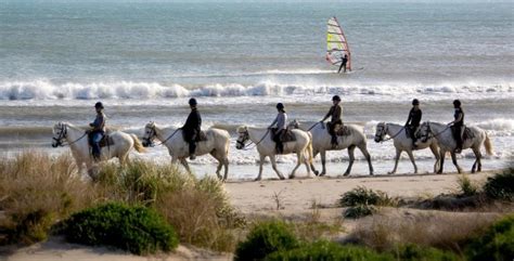 Randonnee Cheval Grau Du Roi