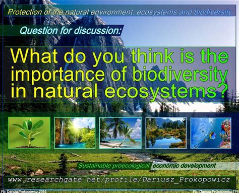 What Do You Think Is The Importance Of Biodiversity In Natural