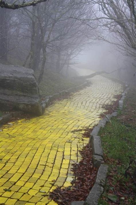 Follow The Yellow Brick Road To The Abandoned Land Of Oz Abandoned Places Yellow Brick Road