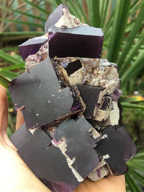 Fluorite Cubi Viola Su Matrix G Catawiki