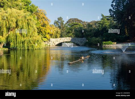 Beacon Hill Park Hi Res Stock Photography And Images Alamy