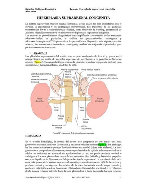 Hiperplasia suprarrenal congénita final Mercedes Lopez uDocz