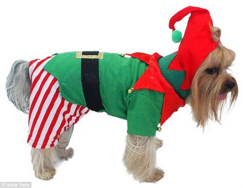 Christmas Outfits Ideas for Dogs – InspirationSeek.com