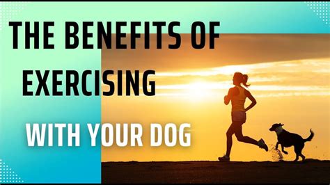 The Benefits Of Exercising With Your Dog Youtube