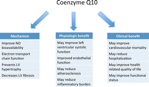 Health benefits of CoQ10 Enzyme