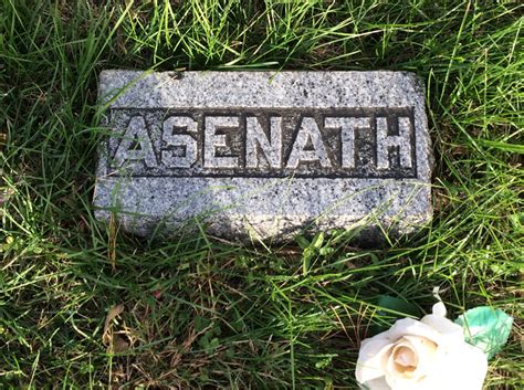 Asenath Farnum Chapin 1851 1904 Find A Grave Memorial