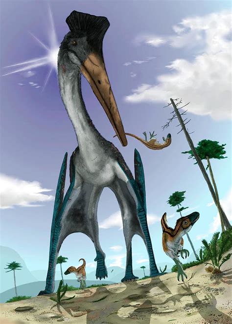 Azhdarchid Pterosaur Hunting Photograph by Mark P. Witton/science Photo Library | Fine Art America