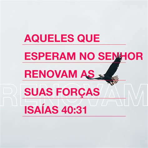 Isaías 40 31 Mas Os Que Esperam No Senhor Renovarão As Suas Forças E