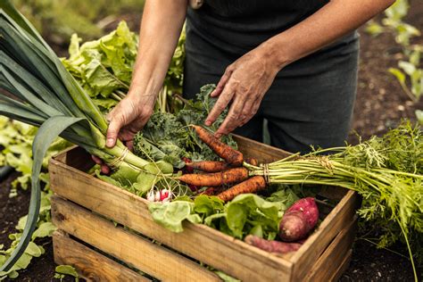 The Harvest House, Newfield’s Community Supported Agriculture Building