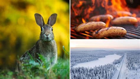 Finnish Grammar Beginners Guide Even If You Hate Grammar